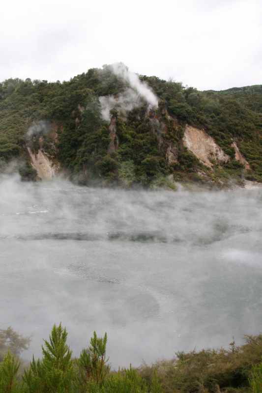 Nieuw-Zeeland 2011 - 0691